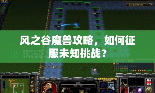 風(fēng)之谷魔獸攻略，如何征服未知挑戰(zhàn)？