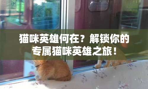 貓咪英雄何在？解鎖你的專屬貓咪英雄之旅！