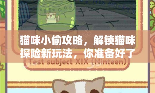 貓咪小偷攻略，解鎖貓咪探險(xiǎn)新玩法，你準(zhǔn)備好了嗎？