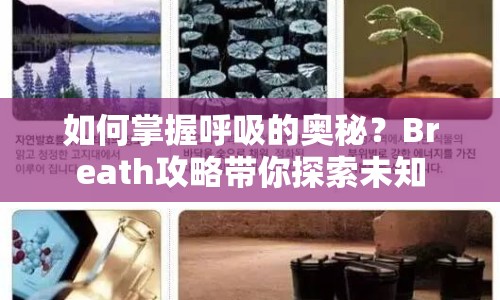 如何掌握呼吸的奧秘？Breath攻略帶你探索未知