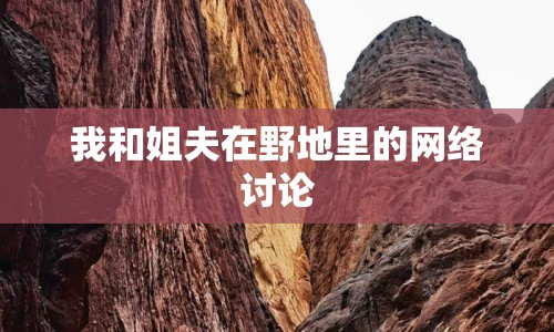 我和姐夫在野地里的網(wǎng)絡(luò)討論