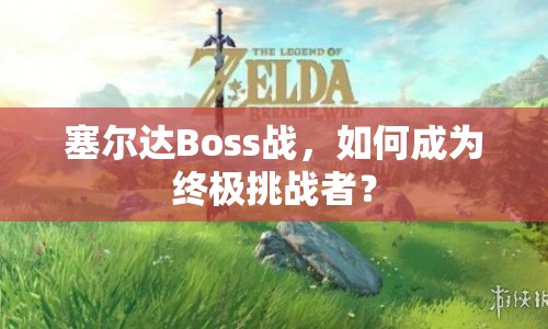 塞爾達(dá)Boss戰(zhàn)，如何成為終極挑戰(zhàn)者？
