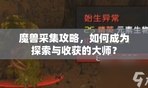 魔獸采集攻略，如何成為探索與收獲的大師？