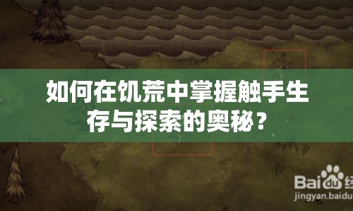 如何在饑荒中掌握觸手生存與探索的奧秘？