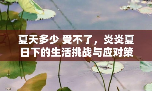 夏天多少 受不了，炎炎夏日下的生活挑戰(zhàn)與應(yīng)對策略