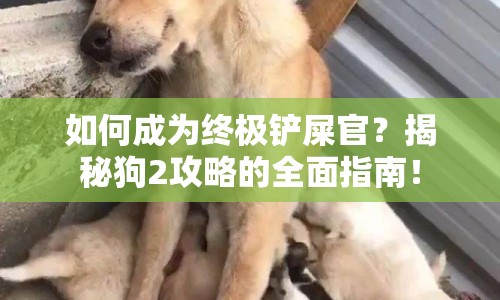 如何成為終極鏟屎官？揭秘狗2攻略的全面指南！