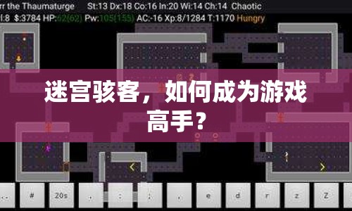 迷宮駭客，如何成為游戲高手？