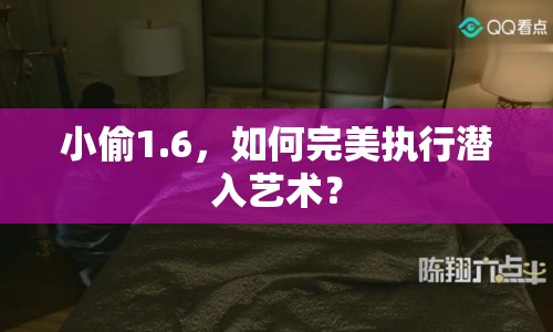 小偷1.6，如何完美執(zhí)行潛入藝術(shù)？