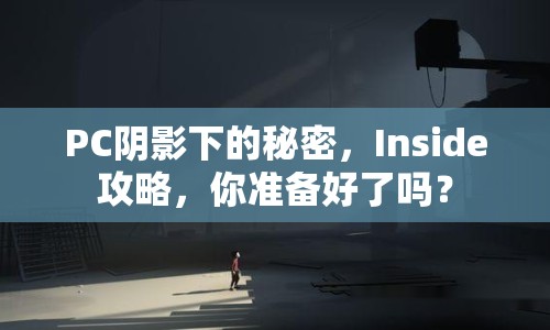 PC陰影下的秘密，Inside攻略，你準(zhǔn)備好了嗎？