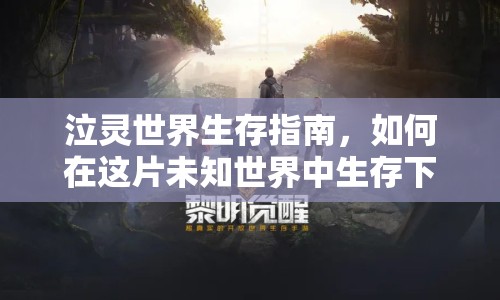 泣靈世界生存指南，如何在這片未知世界中生存下去？