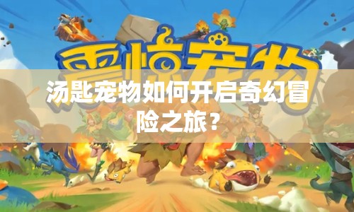 湯匙寵物如何開啟奇幻冒險之旅？