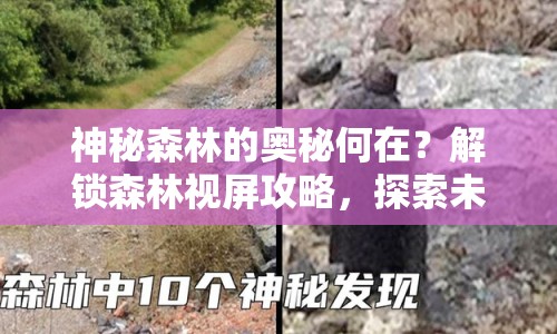 神秘森林的奧秘何在？解鎖森林視屏攻略，探索未知！