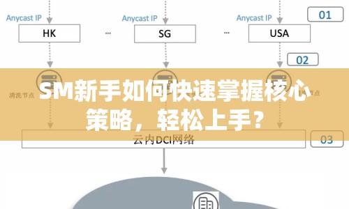 SM新手如何快速掌握核心策略，輕松上手？