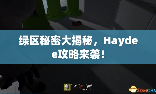 綠區(qū)秘密大揭秘，Haydee攻略來襲！