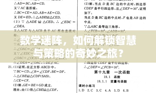 數(shù)學(xué)迷陣，如何解鎖智慧與策略的奇妙之旅？