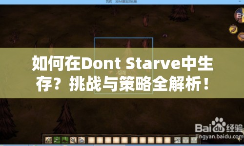 如何在Dont Starve中生存？挑戰(zhàn)與策略全解析！