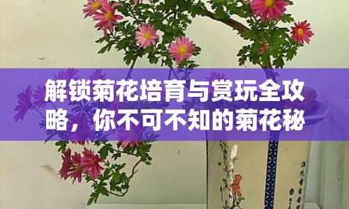 解鎖菊花培育與賞玩全攻略，你不可不知的菊花秘籍！