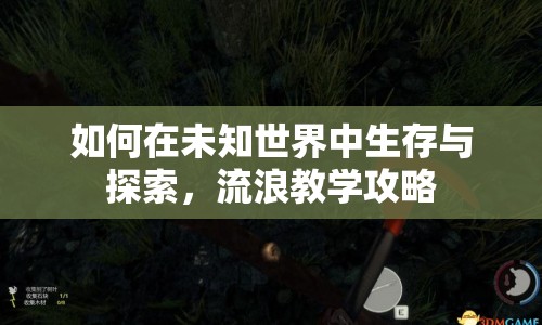 如何在未知世界中生存與探索，流浪教學(xué)攻略