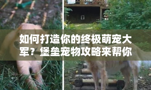 如何打造你的終極萌寵大軍？堡壘寵物攻略來幫你！