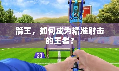 箭王，如何成為精準(zhǔn)射擊的王者？