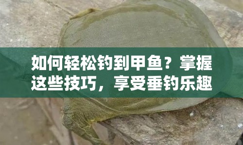 如何輕松釣到甲魚(yú)？掌握這些技巧，享受垂釣樂(lè)趣！