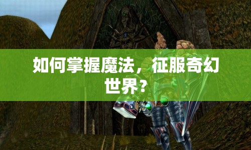 如何掌握魔法，征服奇幻世界？