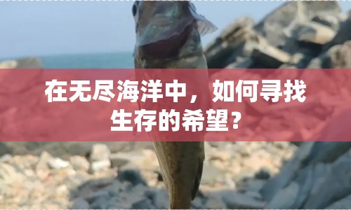 在無盡海洋中，如何尋找生存的希望？