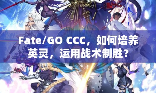 Fate/GO CCC，如何培養(yǎng)英靈，運(yùn)用戰(zhàn)術(shù)制勝？