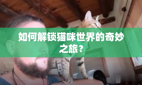 如何解鎖貓咪世界的奇妙之旅？