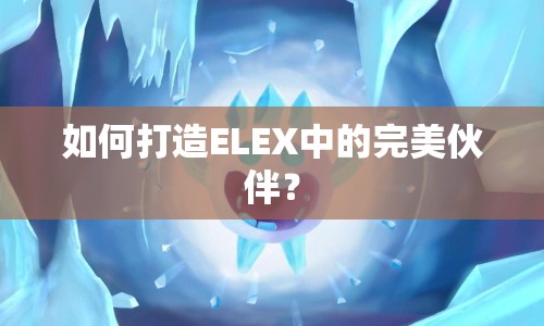 如何打造ELEX中的完美伙伴？