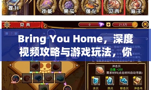Bring You Home，深度視頻攻略與游戲玩法，你掌握了嗎？