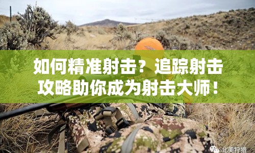 如何精準射擊？追蹤射擊攻略助你成為射擊大師！