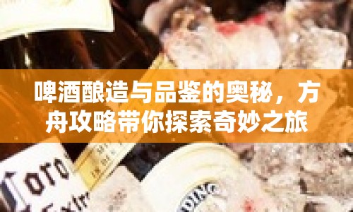 啤酒釀造與品鑒的奧秘，方舟攻略帶你探索奇妙之旅！