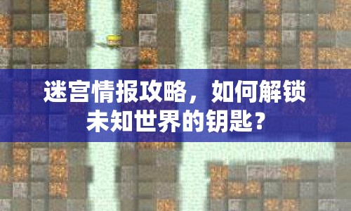 迷宮情報(bào)攻略，如何解鎖未知世界的鑰匙？