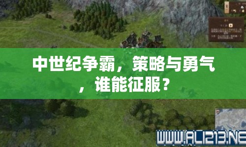 中世紀(jì)爭(zhēng)霸，策略與勇氣，誰(shuí)能征服？