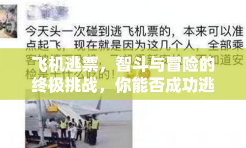 飛機逃票，智斗與冒險的終極挑戰(zhàn)，你能否成功逃脫？