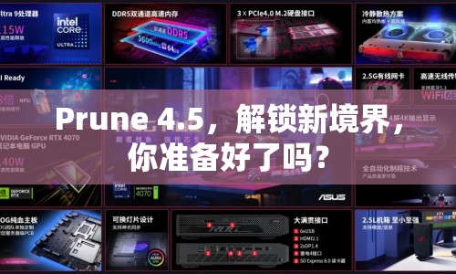 Prune 4.5，解鎖新境界，你準(zhǔn)備好了嗎？