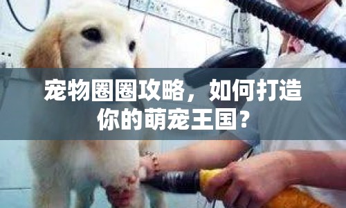 寵物圈圈攻略，如何打造你的萌寵王國？