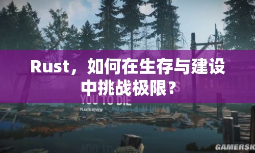 Rust，如何在生存與建設(shè)中挑戰(zhàn)極限？