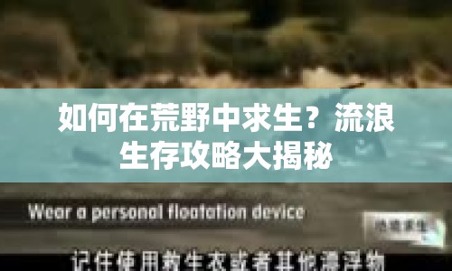 如何在荒野中求生？流浪生存攻略大揭秘