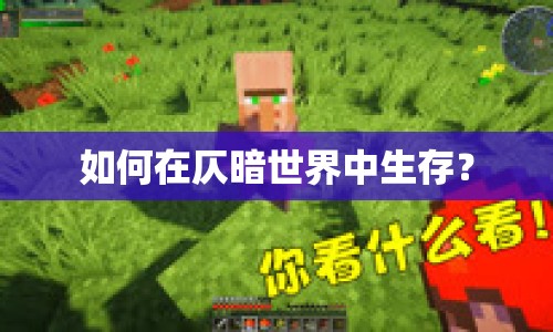 如何在仄暗世界中生存？