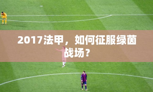 2017法甲，如何征服綠茵戰(zhàn)場？