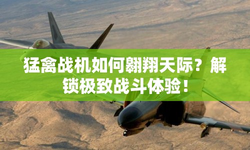 猛禽戰(zhàn)機如何翱翔天際？解鎖極致戰(zhàn)斗體驗！