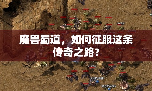 魔獸蜀道，如何征服這條傳奇之路？