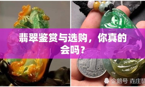 翡翠鑒賞與選購，你真的會(huì)嗎？