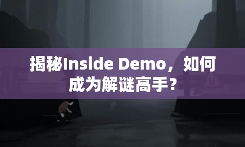 揭秘Inside Demo，如何成為解謎高手？