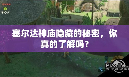 塞爾達(dá)神廟隱藏的秘密，你真的了解嗎？