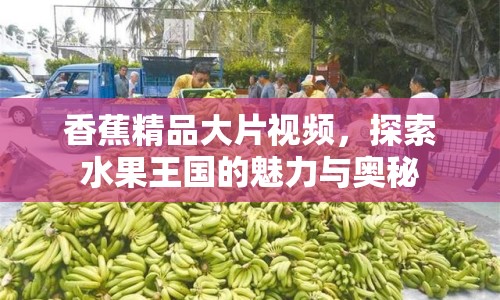 香蕉精品大片視頻，探索水果王國的魅力與奧秘