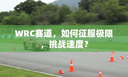WRC賽道，如何征服極限，挑戰(zhàn)速度？