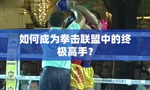 如何成為拳擊聯(lián)盟中的終極高手？